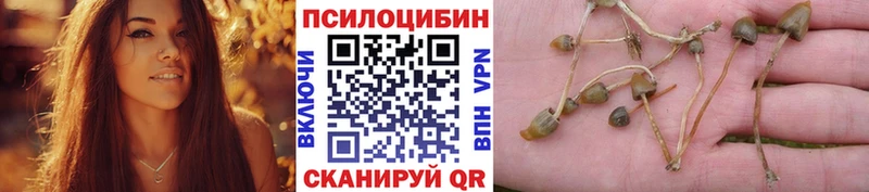 Галлюциногенные грибы ЛСД  Нязепетровск 